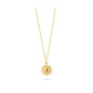 Ladies' Necklace Radiant RY000151 45 cm